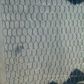 Treillis métallique hexagonal OEM du fabricant de la chine/fil de poulet pour cage à oiseaux/fil de volaille 1/2 fil de poulet à mailles hexagonales